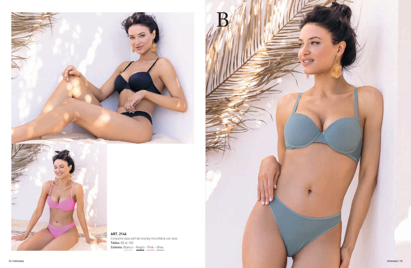 Catalogo Lenceria BRIGITTE - LadyVictoria - Distribuidor mayorista de  lenceria, corseteria y medias