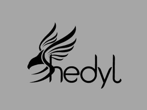 Shedyl Underwear 2021-2022